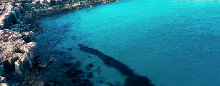 Boat tour to Favignana